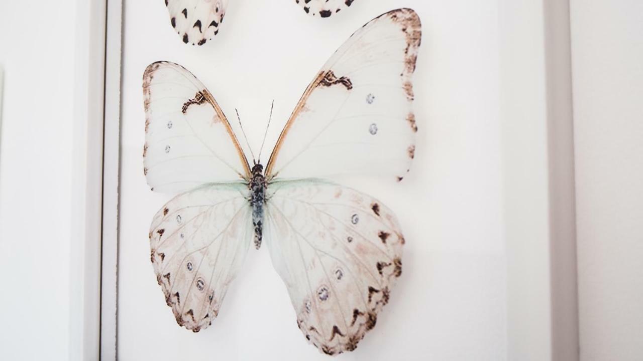 Casa De Mariposas Appartement Benalmádena Buitenkant foto